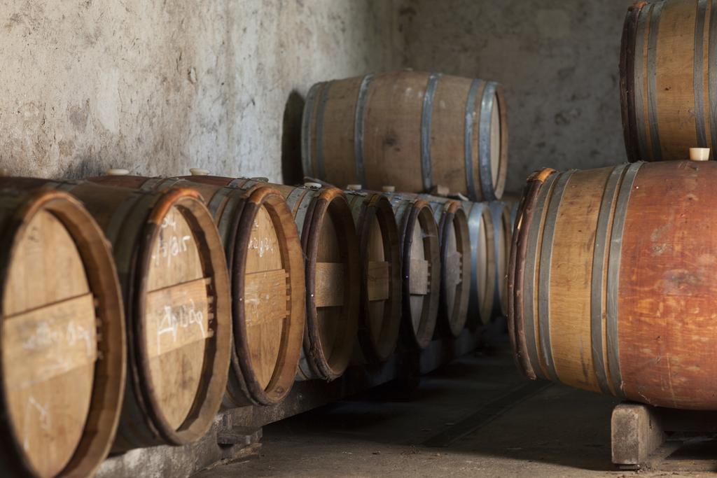 Clos Vieux Rochers Vineyard Пюиссеген Экстерьер фото