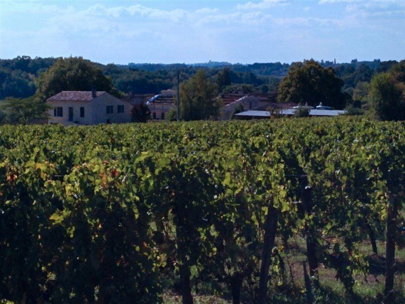 Clos Vieux Rochers Vineyard Пюиссеген Экстерьер фото